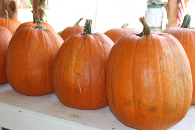 Going Going Amost Gone 