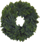 plainwreath