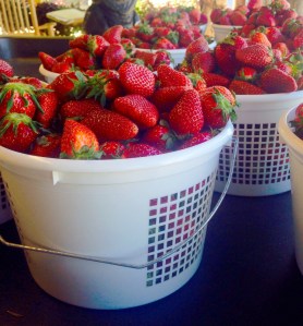 baskets of berries