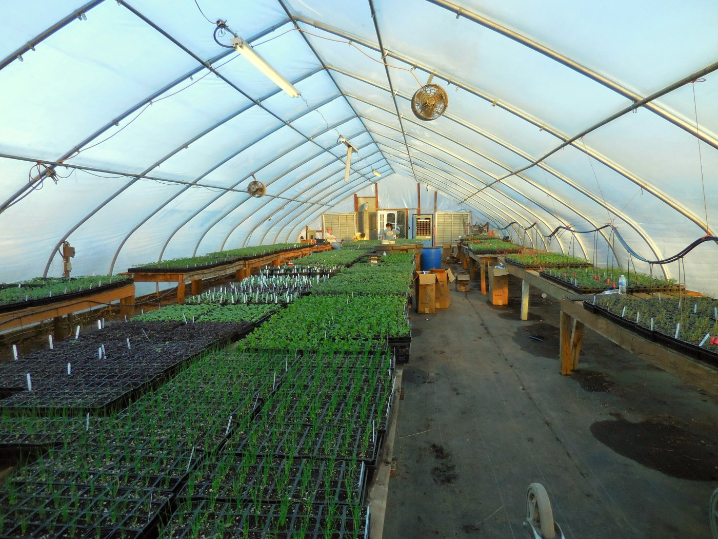 Hughey Farms