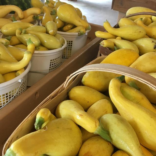 19441892_1377526052335135_7262650657973790366_o