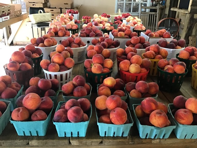 Hughey Farms photo 18